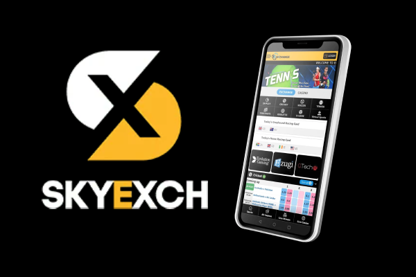 Sky Exchange Login Process